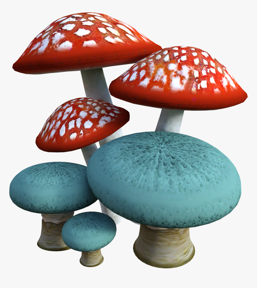 Mushrooms, Mushroom, Fungi, Forest, Nature, Autumn - Fungus Transparent, HD Png Download