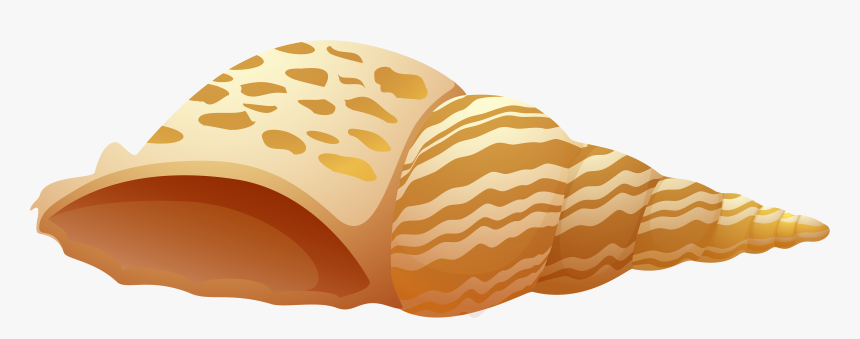 Sea Shell Png Clip Art - Sea Shell Clipart Png, Transparent Png