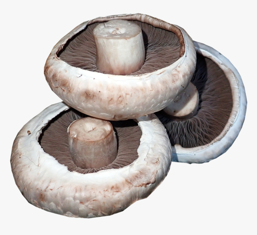 Mushrooms, Vegetables, Food, Cooking, Healthy, Organic - Shiitake, HD Png Download