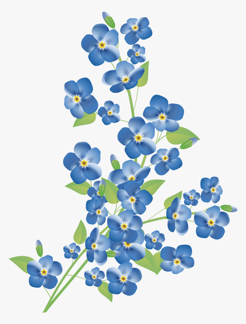 Grasses Png, Transparent Png