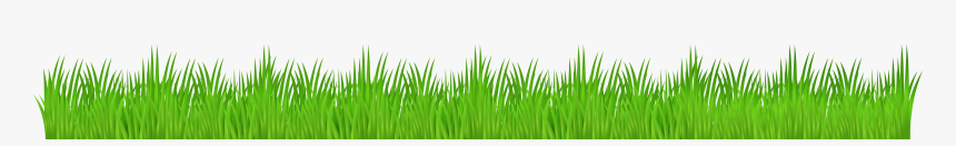 Grass Png, Transparent Png