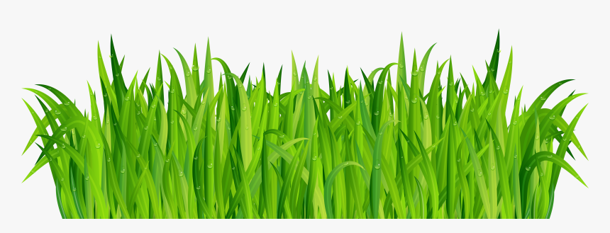 Clip Art Clip Art Of Grass - Grass, HD Png Download