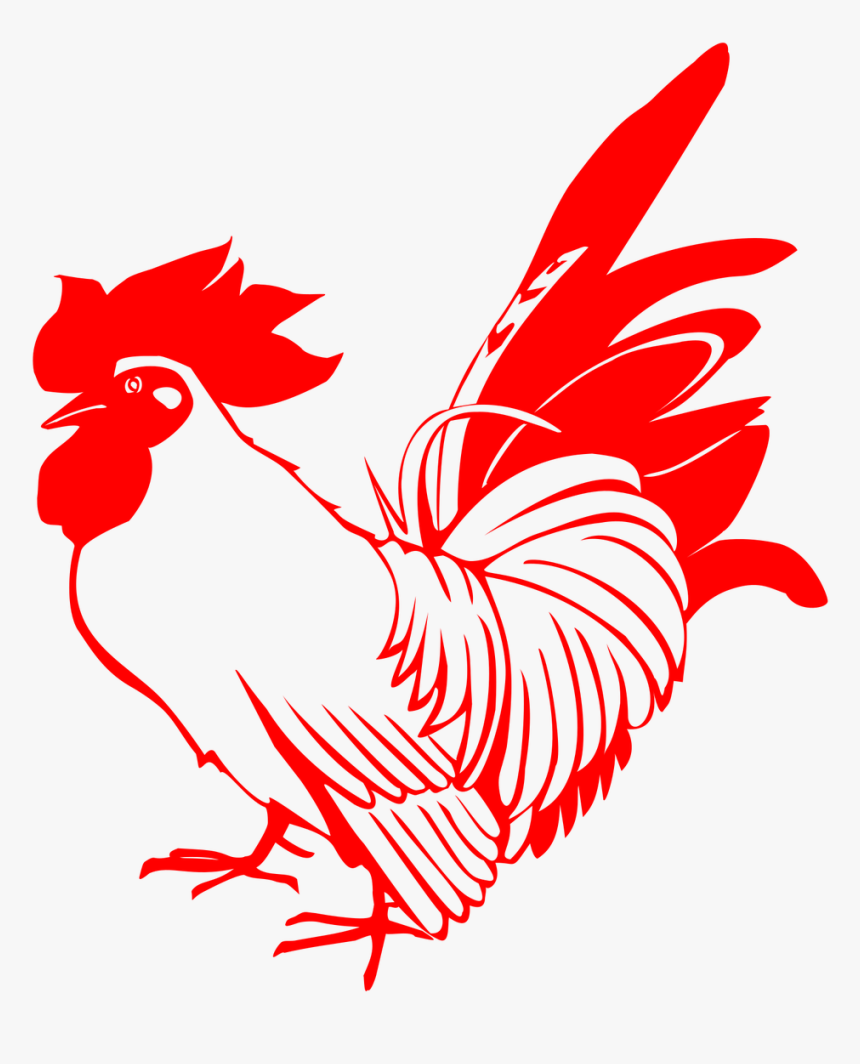 5 Idioms About Chicken, HD Png Download