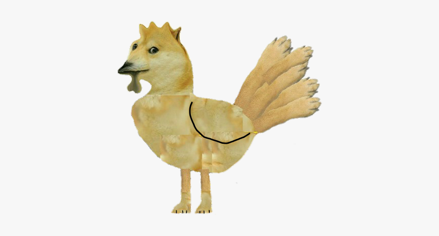 Deer, HD Png Download