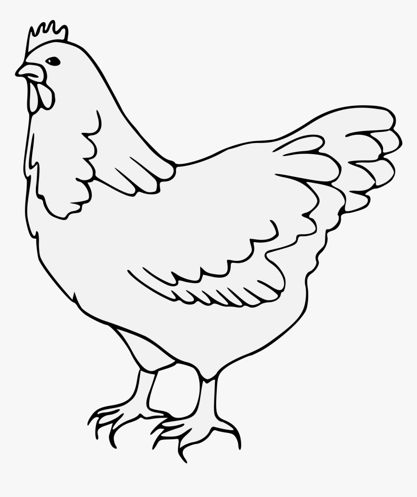 Rooster , Png Download - Rooster, Transparent Png