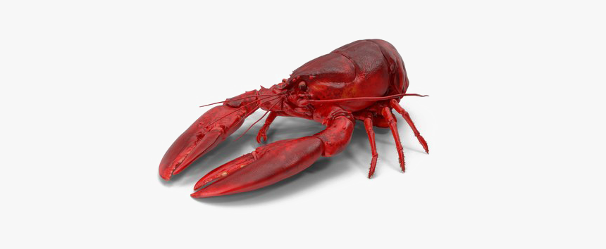 Lobster Png Image With Transparent Background - Lobster Transparent Background, Png Download