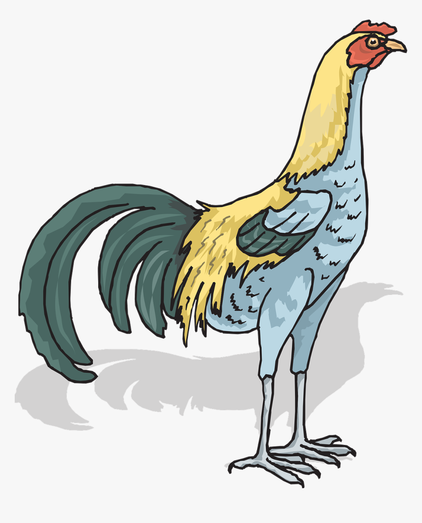 Rooster Cock Cockerel Free Picture - Rooster, HD Png Download