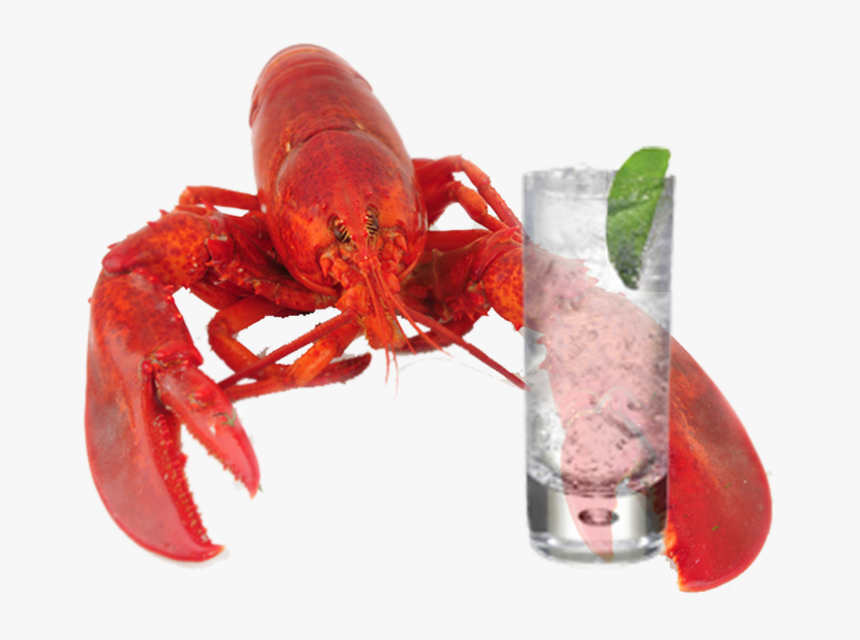 Lobster Download Transparent Png Image - Crayfish With A Drink, Png Download