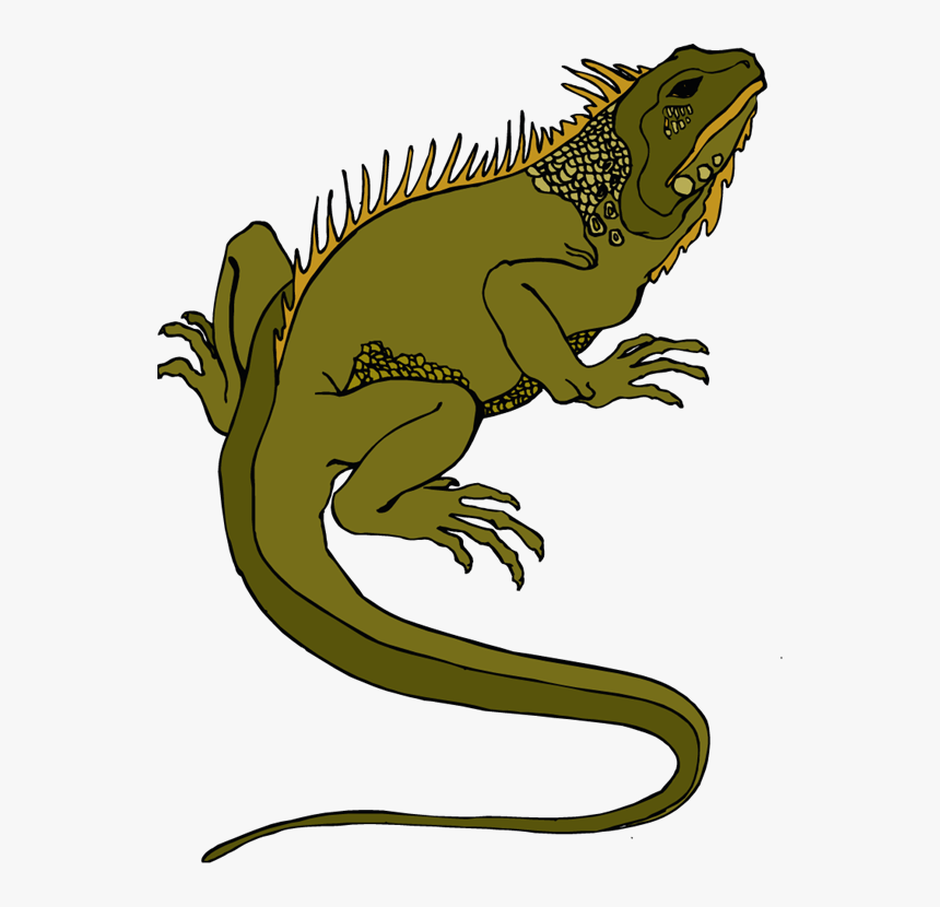Horned Lizard Png Transparent - Lozard Clipart, Png Download