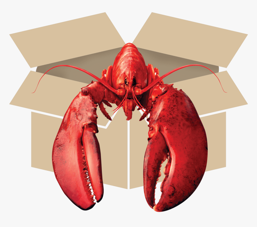 American Lobster, HD Png Download