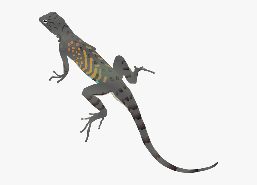 Az-lizard Svg Clip Arts - Lizard Clipart, HD Png Download