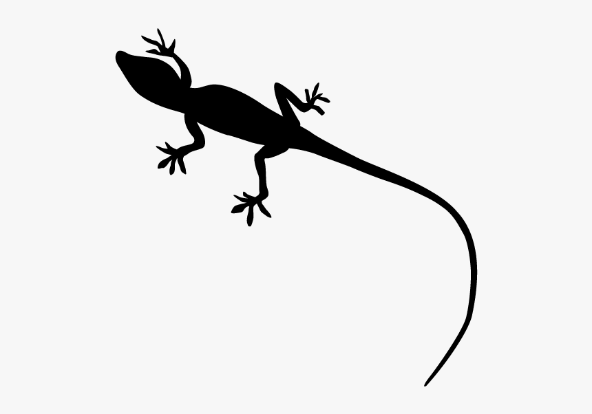 Gecko Lizard Reptile Silhouette - Lizard Silhouette No Background, HD Png Download