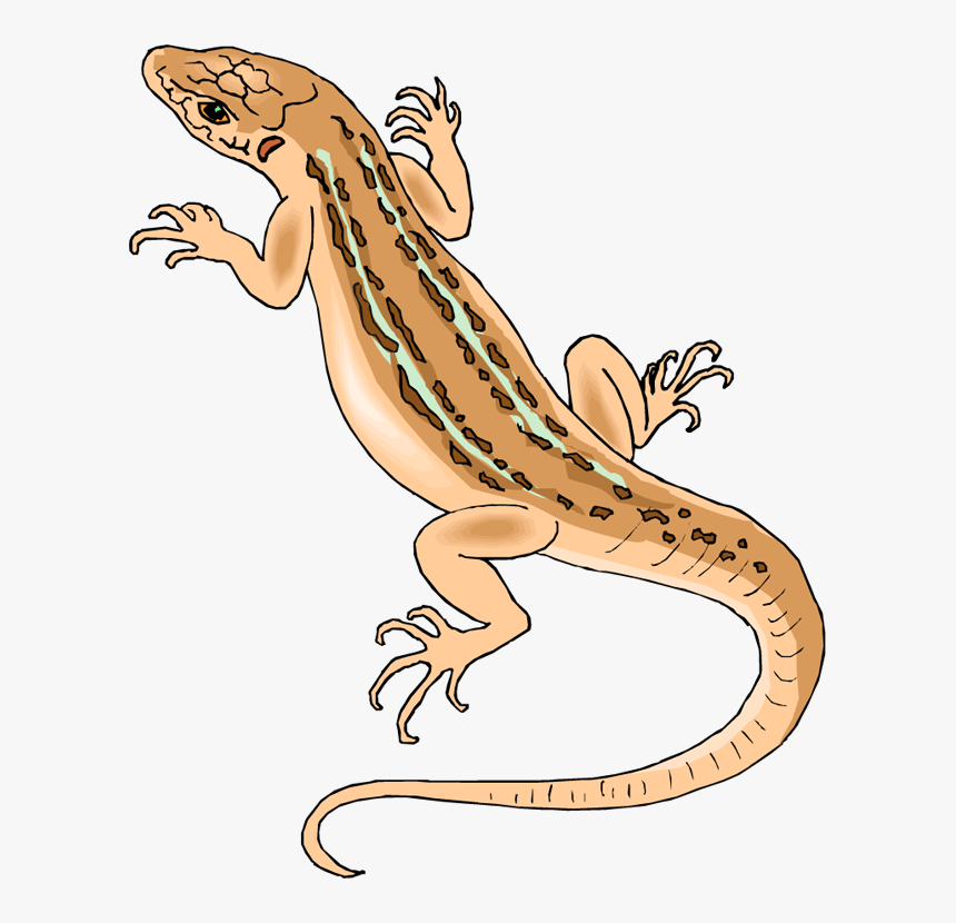 Horned Lizard Png File - House Lizard Clipart, Transparent Png