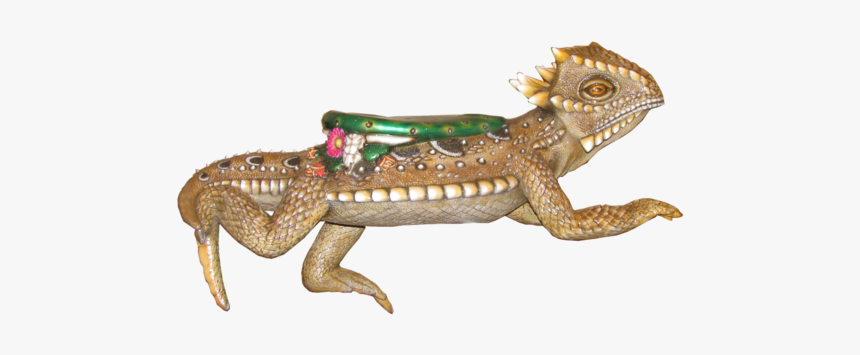 Horned Lizard Png Pic - Carousel Tortoise, Transparent Png