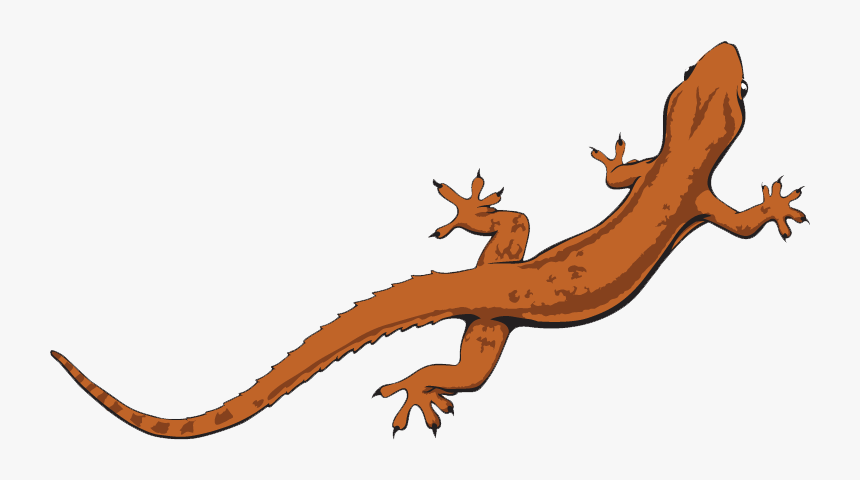 Lizard Png File - Transparent Background Lizard Clipart, Png Download