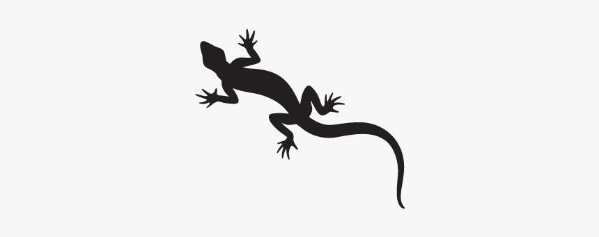 Gecko Lizard New Zealand Fantail Silhouette - Nz Lizards Silhouette, HD Png Download