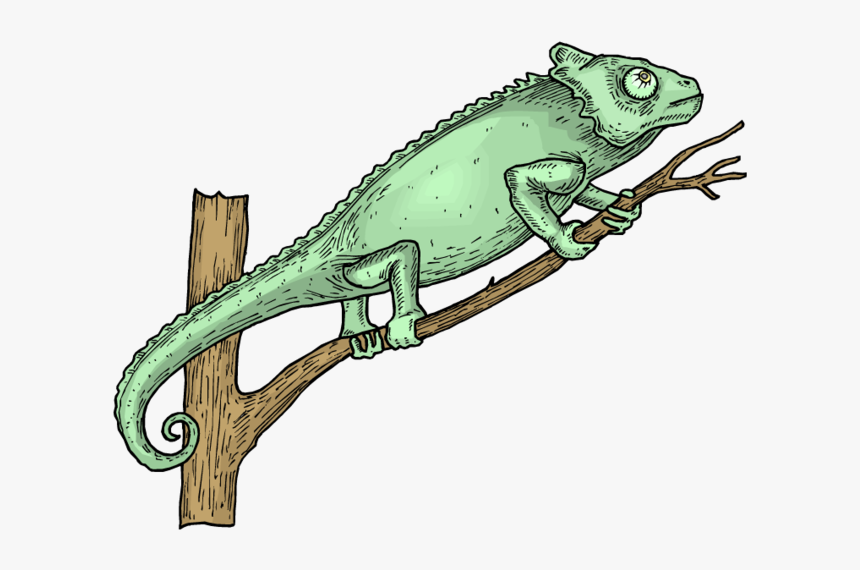 Forgetmenot Cameleons Ⓒ - Lizard, HD Png Download