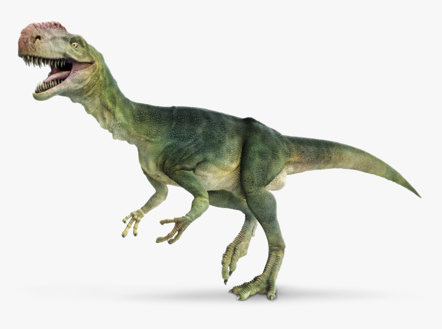 Dinosaur White Background Hd, HD Png Download
