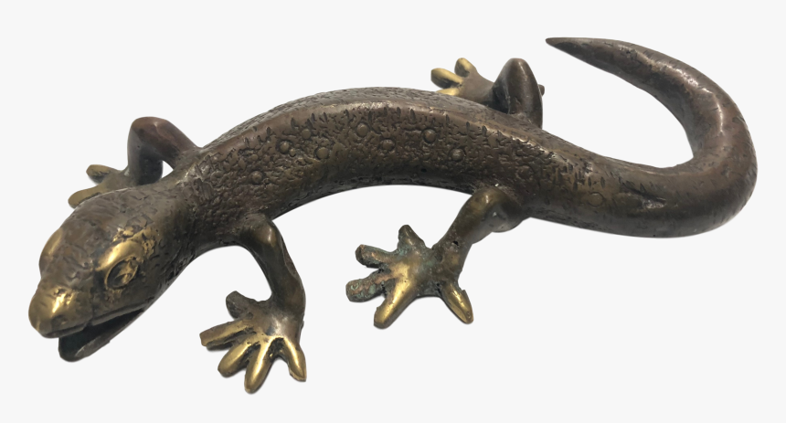 House Gecko, HD Png Download