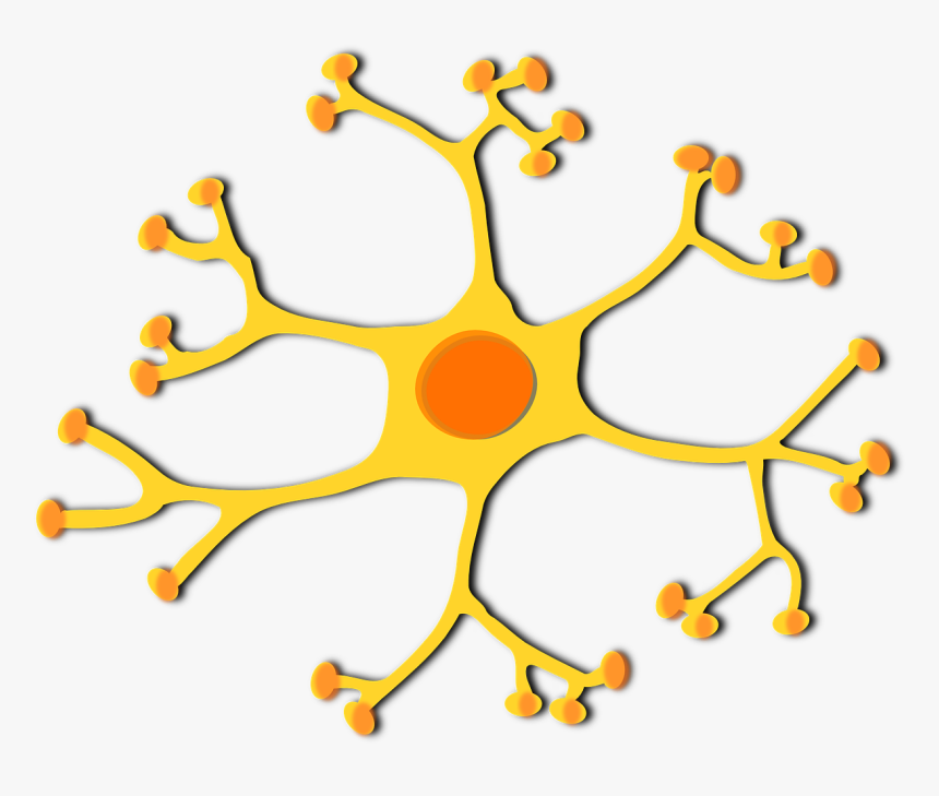 Brain Cell Clipart, HD Png Download