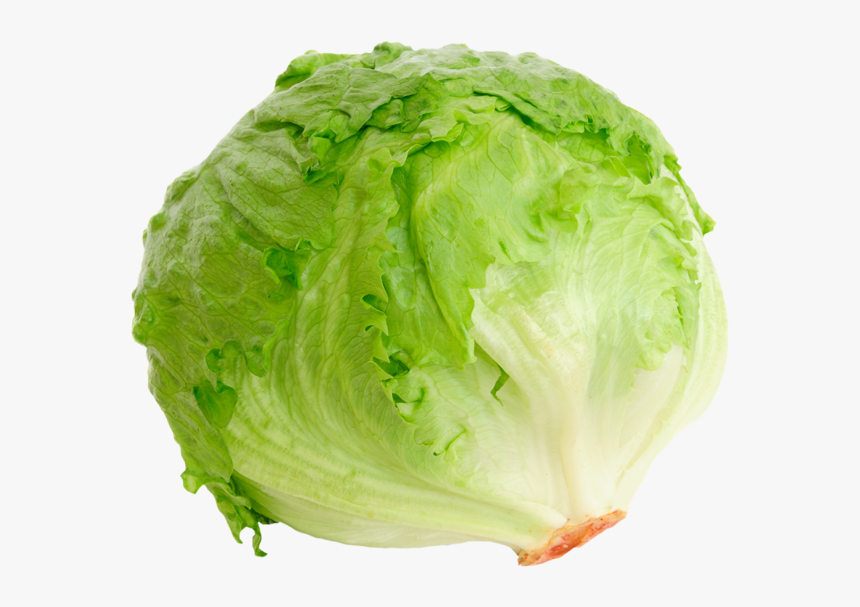 Iceberg Lettuce Romaine Lettuce Blt Red Leaf Lettuce - Head Of Lettuce, HD Png Download