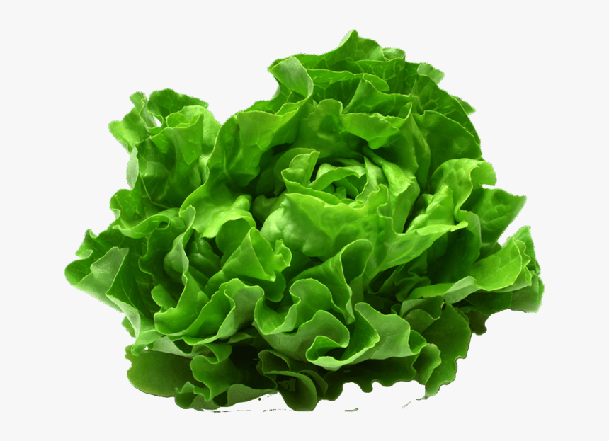 Leafy Vegetable Png, Transparent Png