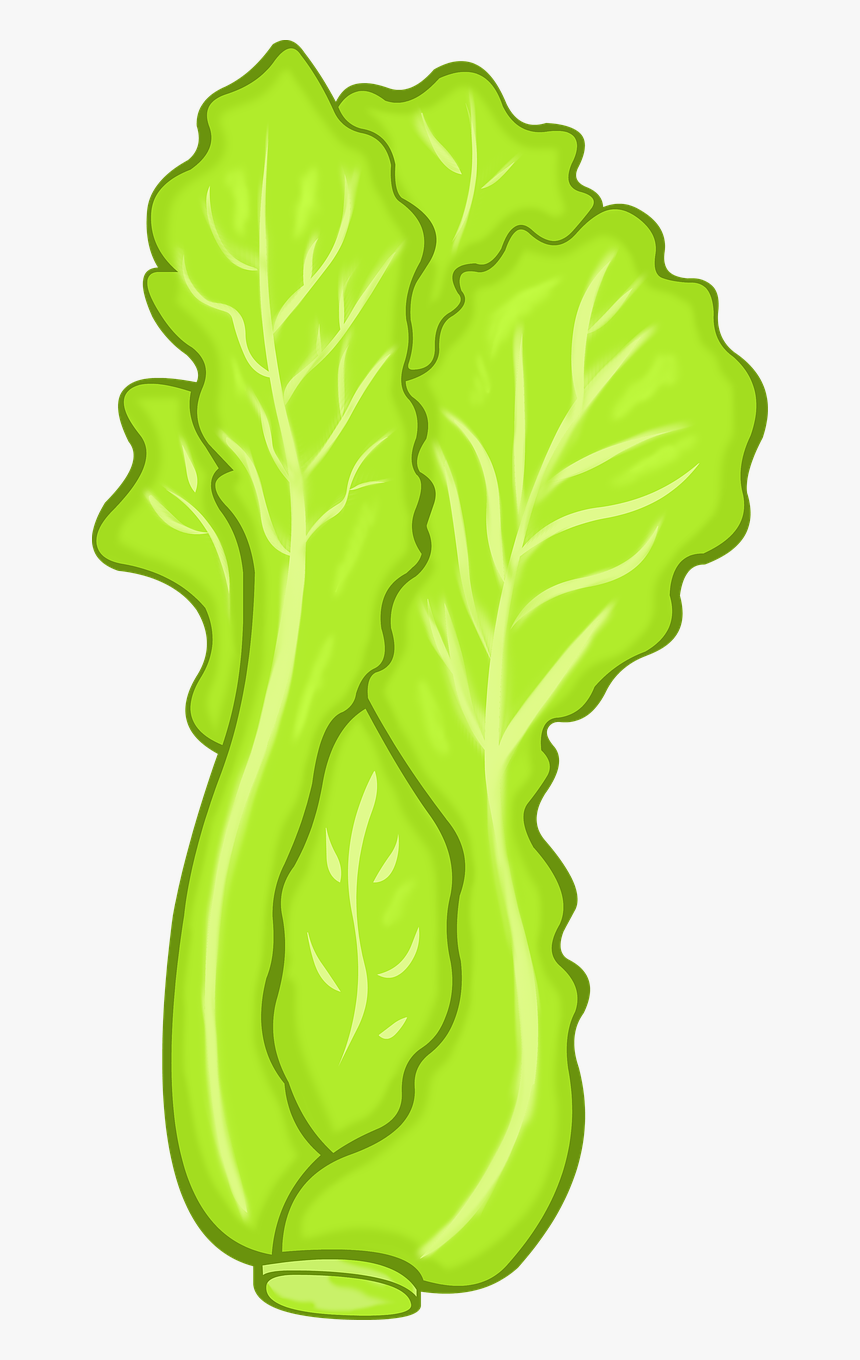 รูป ผัก การ์ตูน, HD Png Download