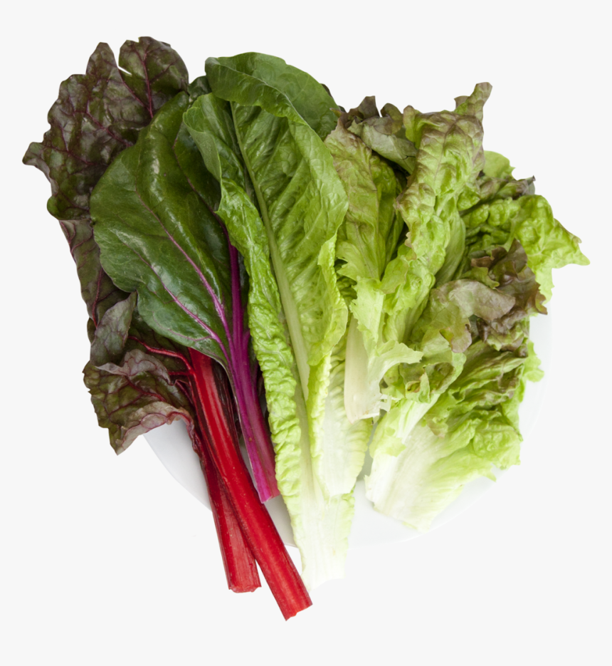 Lettuce Clipart Collard Greens - Chard, HD Png Download