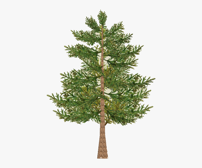 Red Pine Png, Transparent Png