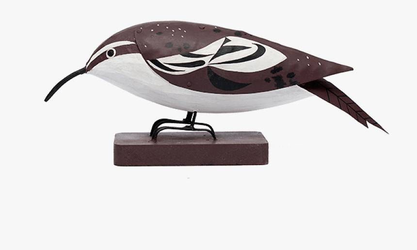 Creeper-1 - Perching Bird, HD Png Download