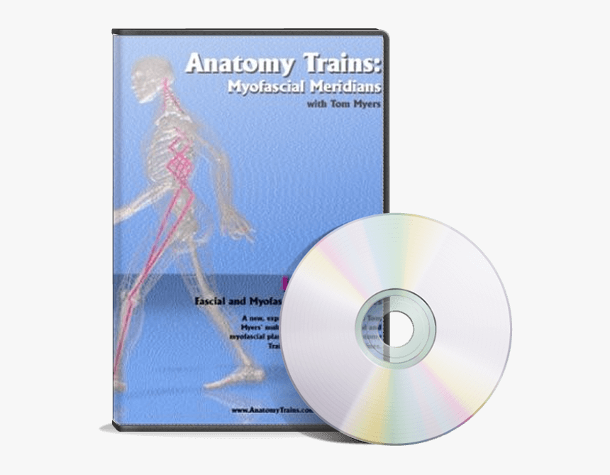Transparent Action Lines Png - Anatomy Trains Revealed Dvd, Png Download