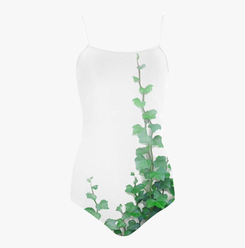 Wall Climbers Plants Png, Transparent Png