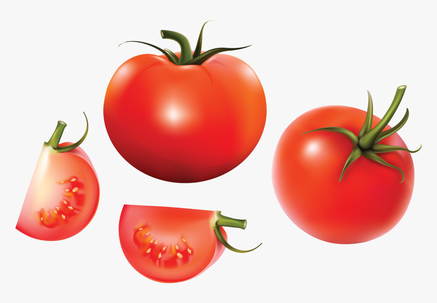 Red Tomatoes - Tomato Vector, HD Png Download