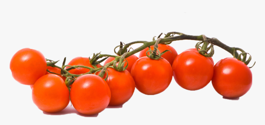 Vector Tomatoes, HD Png Download