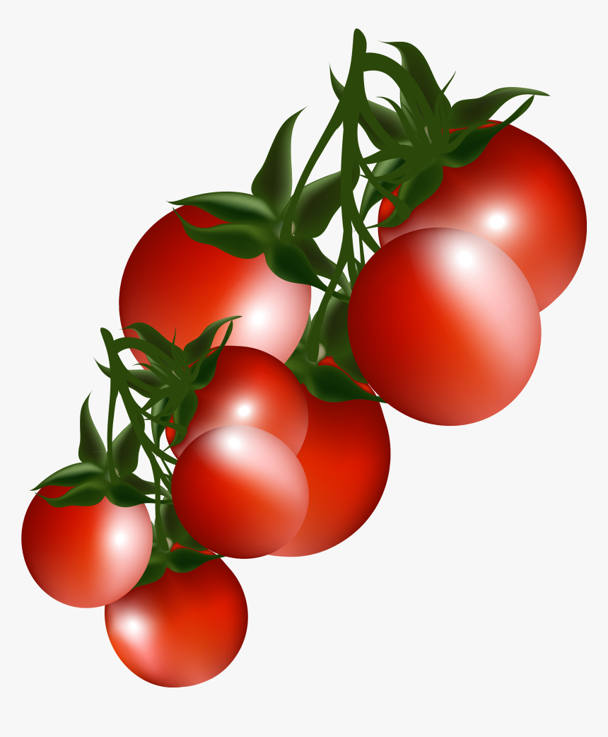 Tomatoes Clip Art - Cherry Tomatoes Clipart Png, Transparent Png
