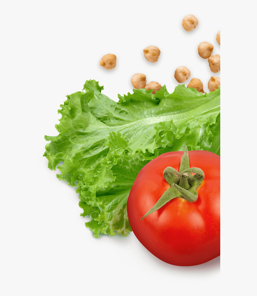 Lettuce And Tomatoes Png , Png Download - Tomatoes And Lettuce Png, Transparent Png
