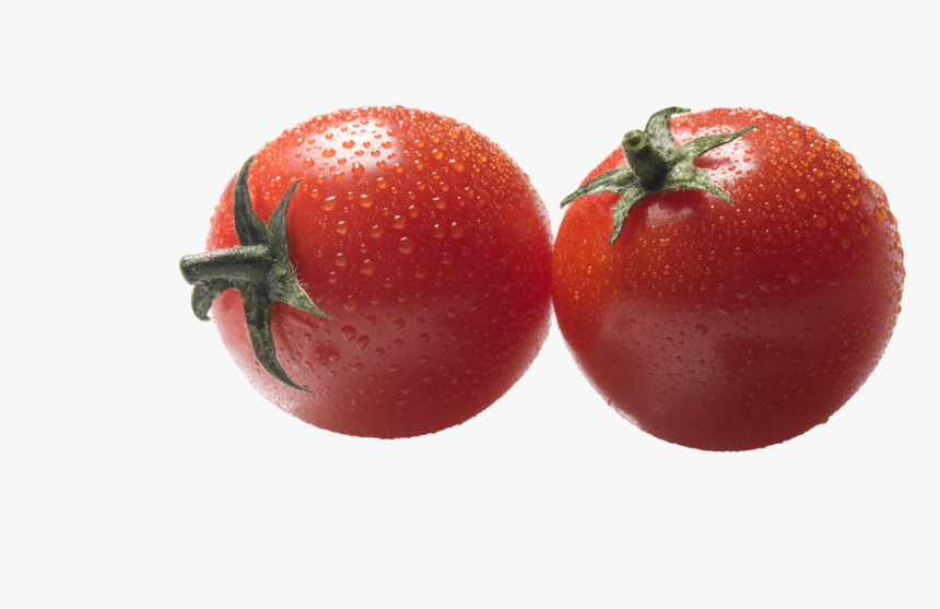 Transparent Tomato Plant Clipart - Plum Tomato, HD Png Download