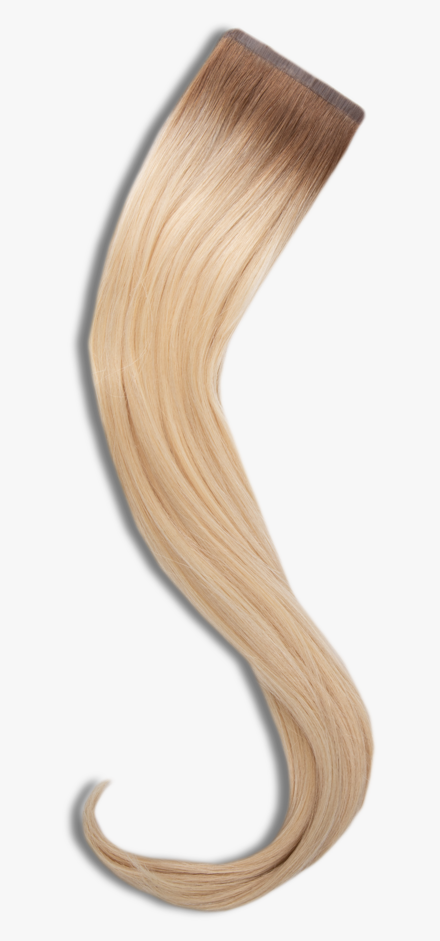 Rt 8c/12sbc - Blond, HD Png Download