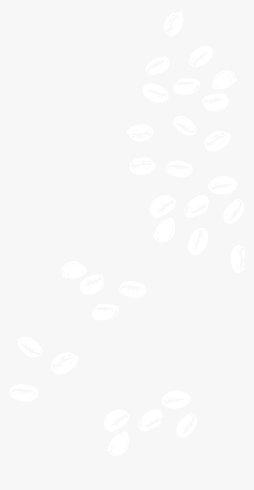 Johns Hopkins White Logo, HD Png Download