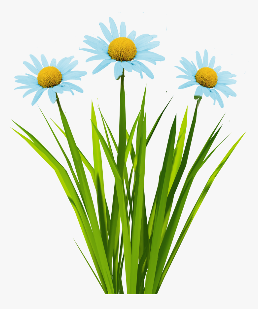 New Textures Billboard Grass - Transparent Flowers Texture, HD Png Download
