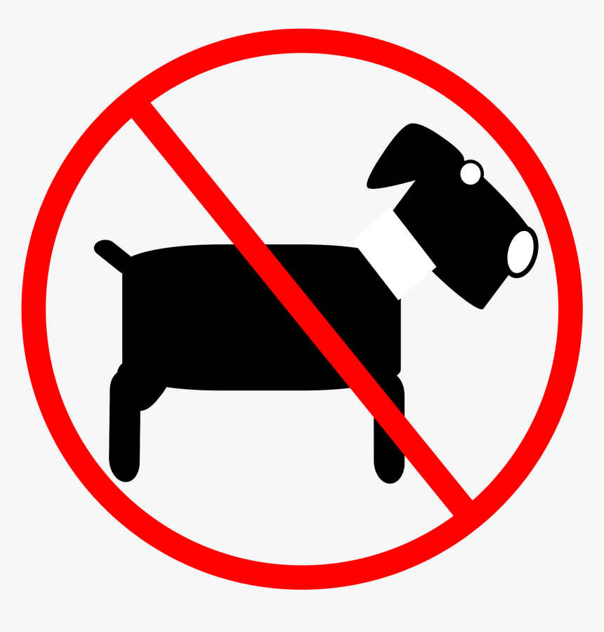 All Photo Png Clipart - Trans Asian Shipping Services Logo, Transparent Png