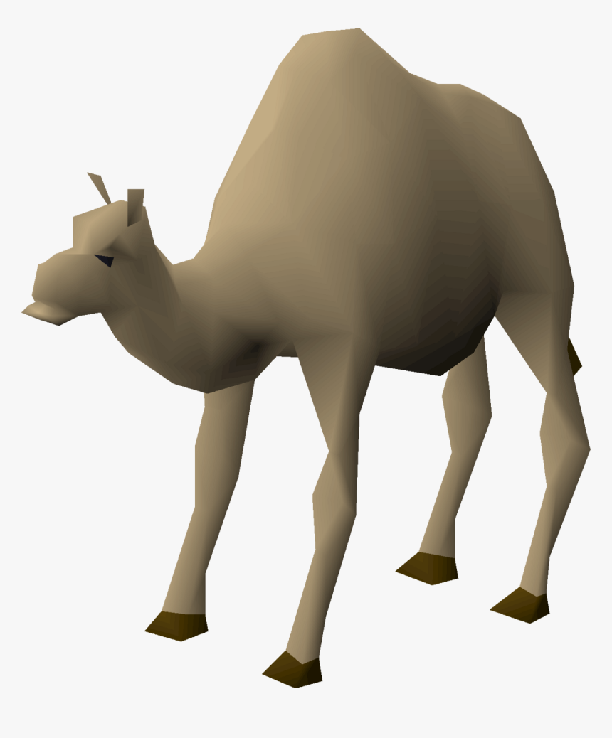 Osrs Camel, HD Png Download