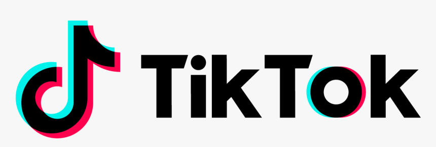 Tiktok Banned,tik Tok Banned In India,tik Tok Banned - Tiktok Png, Transparent Png