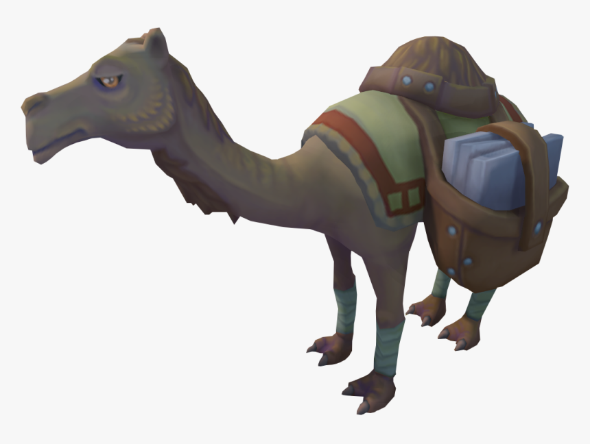 Arabian Camel, HD Png Download