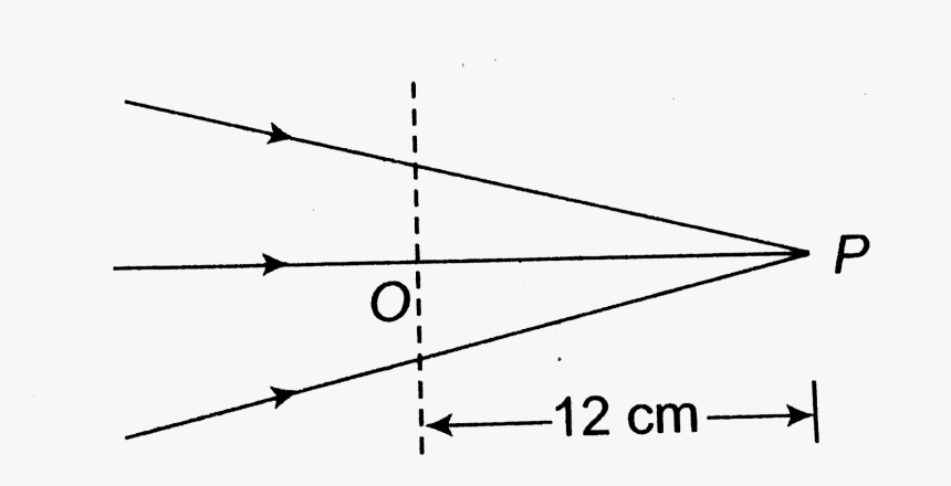 Plot, HD Png Download