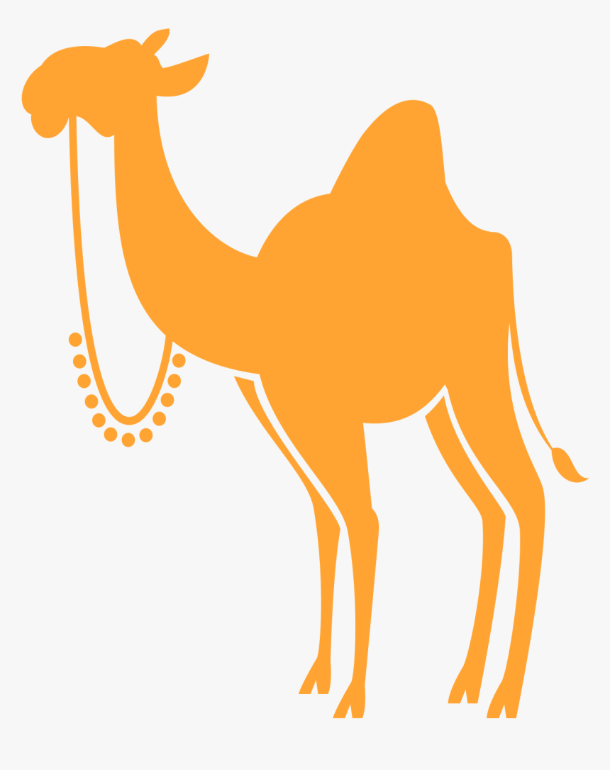 Arabian Camel, HD Png Download