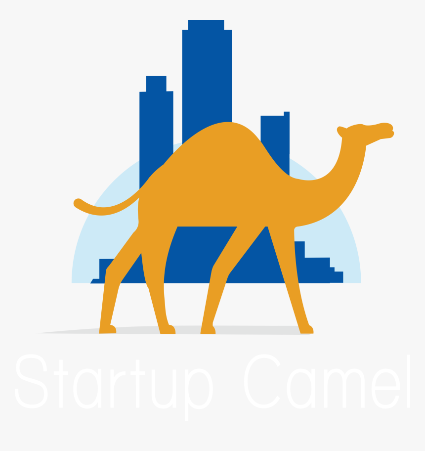 Transportation Clipart Camel - Dromedary, HD Png Download