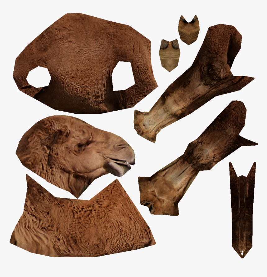 Masai Lion, HD Png Download