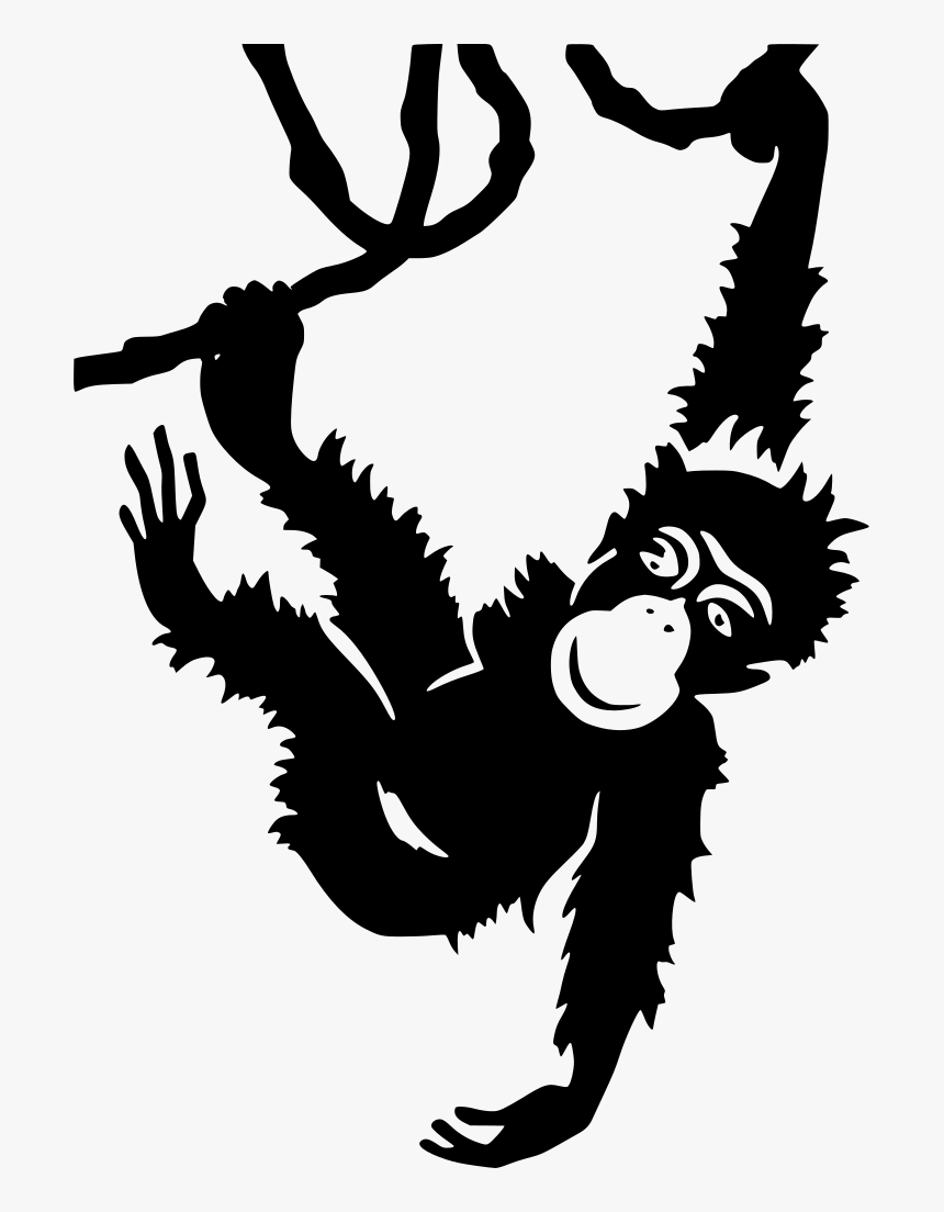 San Diego Zoo Poster, HD Png Download