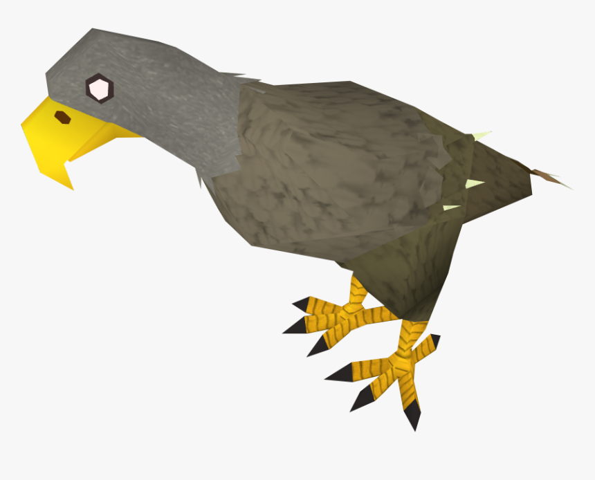 Jungle Eagle, HD Png Download